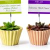 PECULA Office Memo Holders Metal Wire Alligator Clips-5